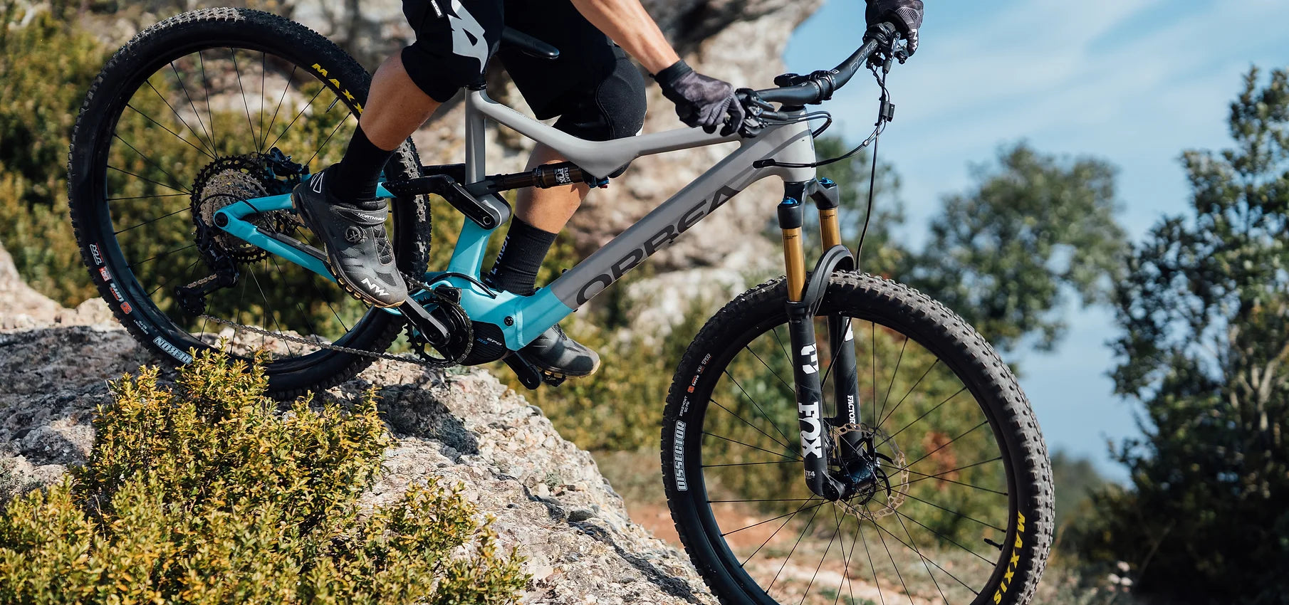 Orbea rise ebike online 2021