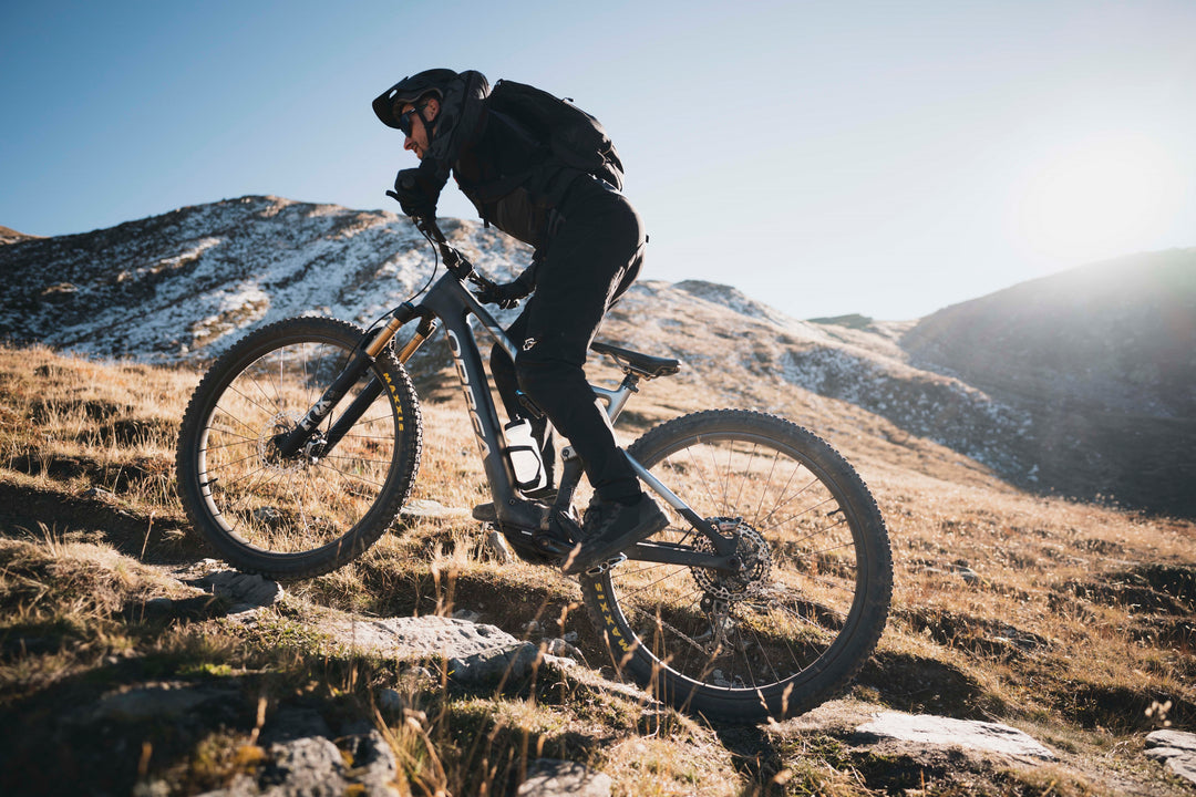 Orbea - Rise H30 Metallic Mulberry-Black Large