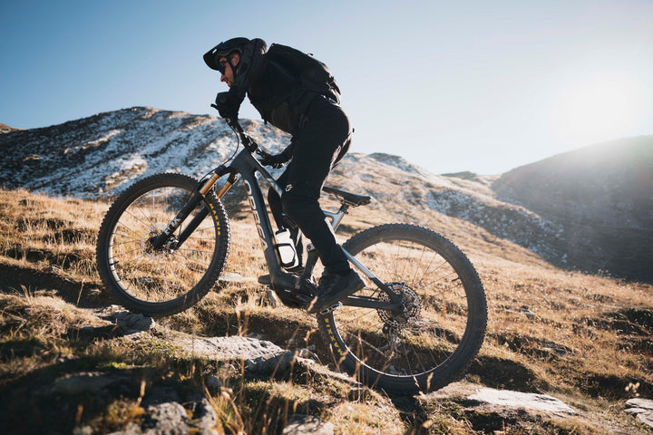 Orbea - Rise H30 Metallic Mulberry-Black Large